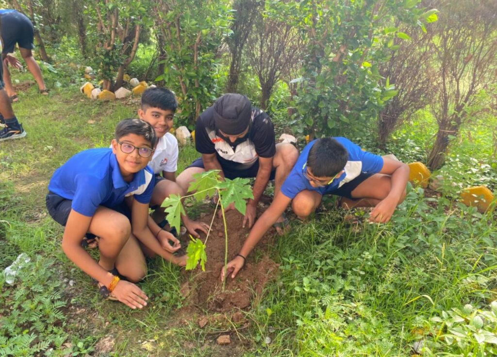 Tree Planting